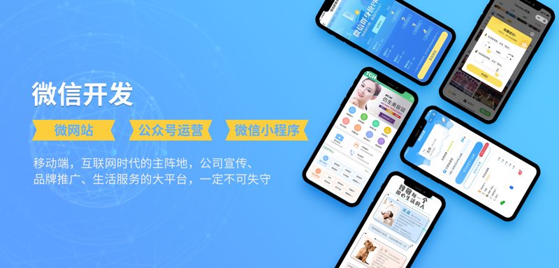 数字时代的定制需求：软件开发步入个性化新时代