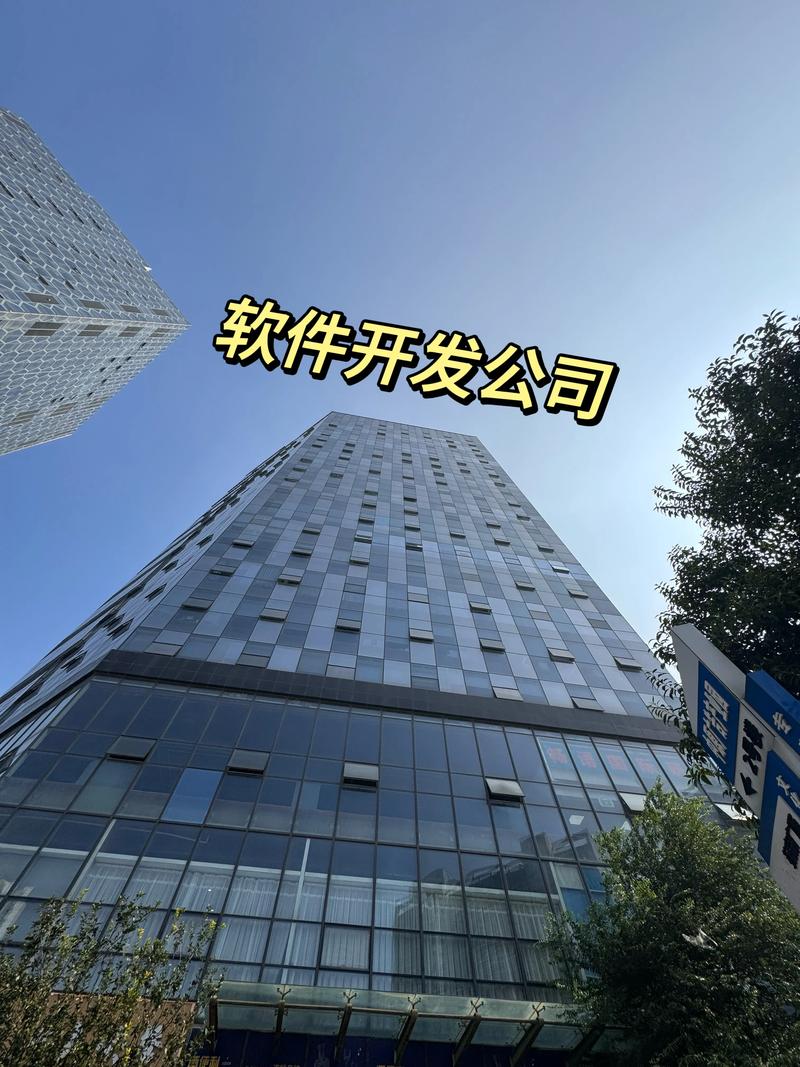 软件定制开发：构建企业专属的数字化桥梁